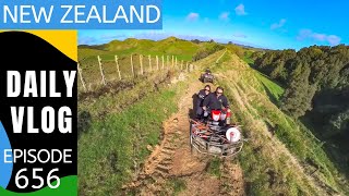 A nice ride over the farm to shift the sheep [Life in New Zealand Daily Vlog #656]