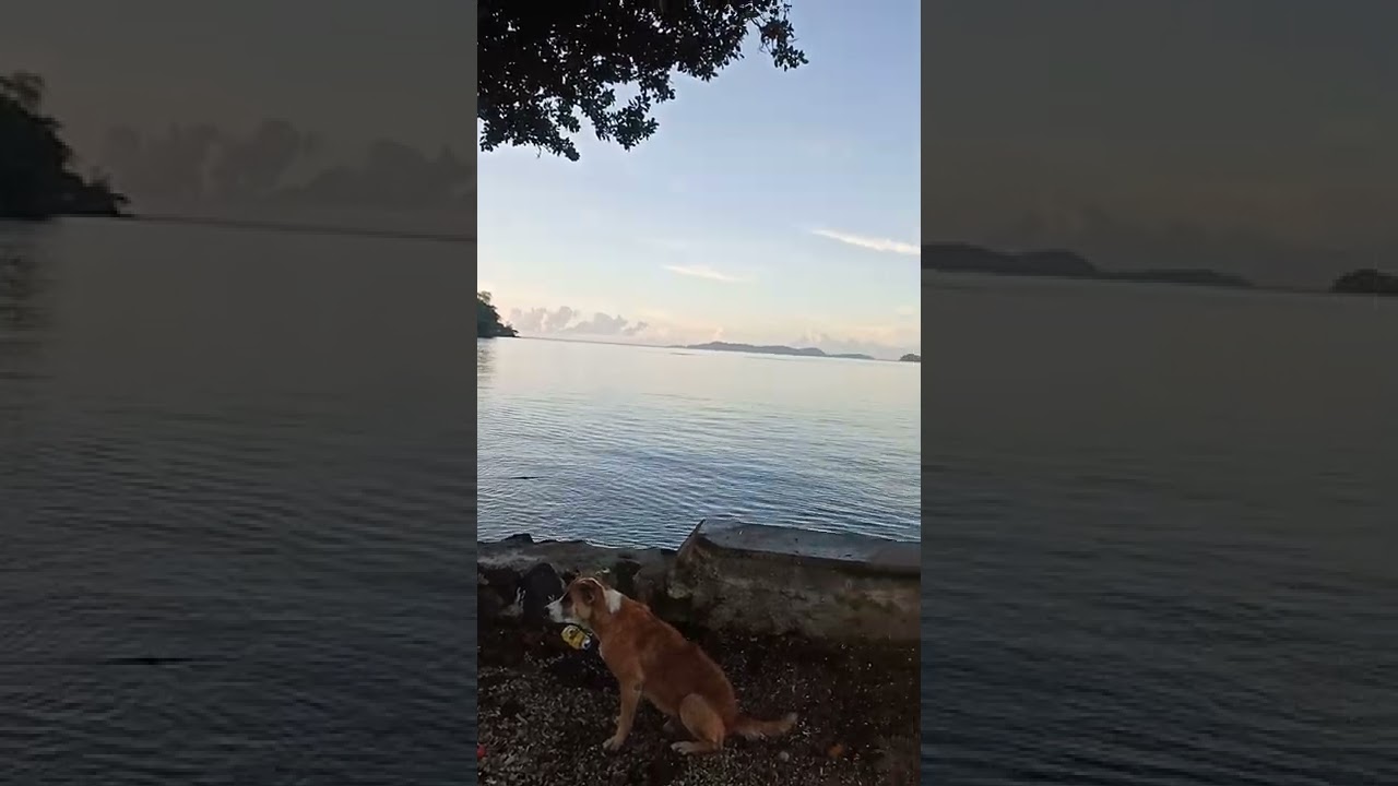 Looking out to beautiful Logea island from Samarai island (June 2022)