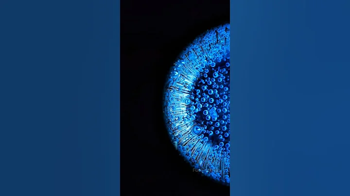 Water Can Boil & Freeze Together?! 💧🔥❄️ #shorts #facts