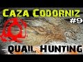 CAZA de CODORNICES con Kai #9 | QUAIL HUNTING | HD