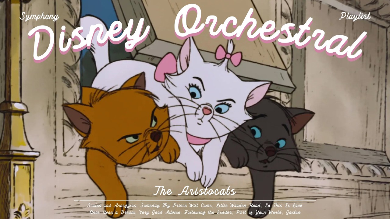 ✨ Disney The Aristocasts Orchestra Symphony 🐱 A Joyful Moment of Adorable Little Cats