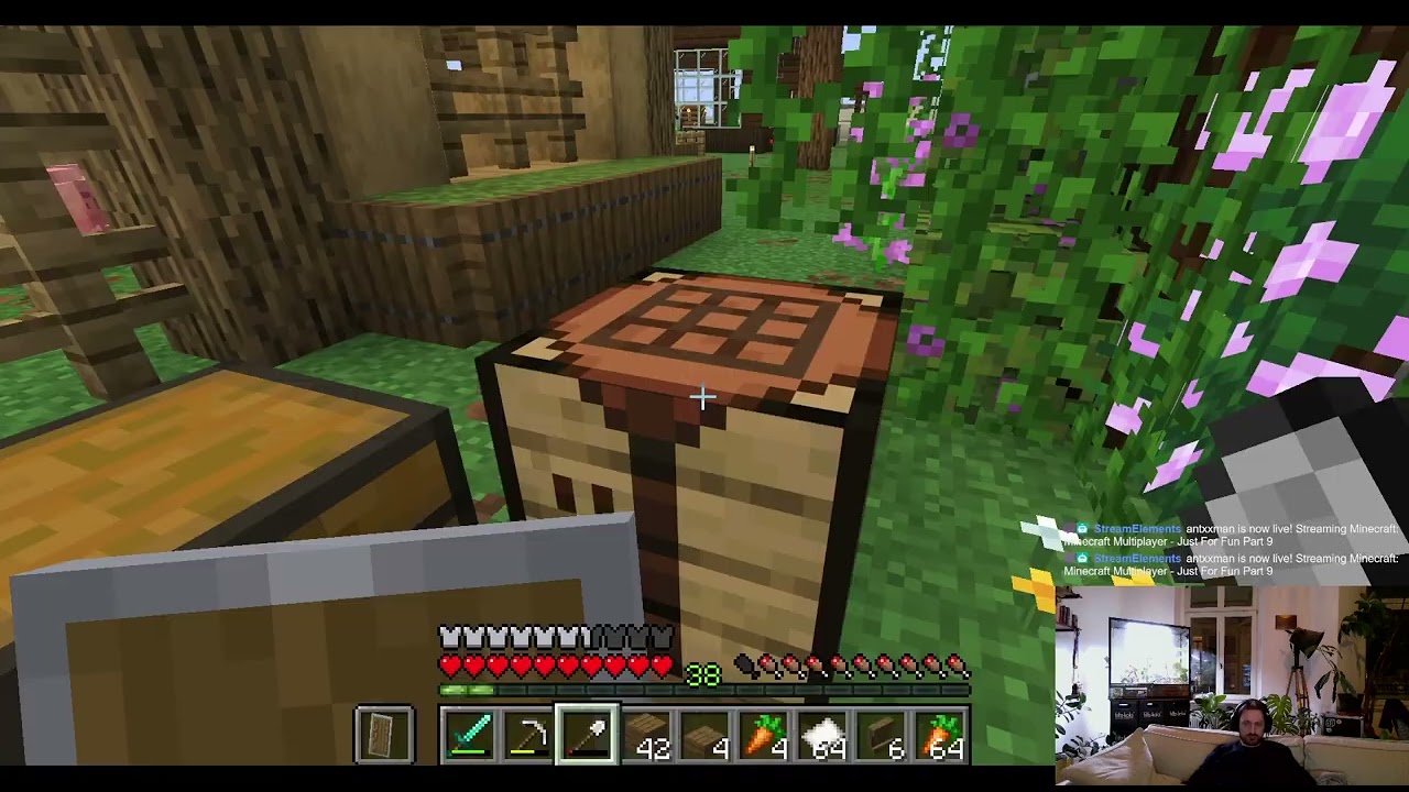 Minecraft  Multiplayer - Just For Fun Part 9