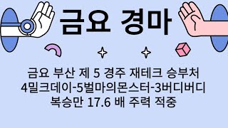 [강타쌤]#경마라이브방송 #경마예상 #금요경마 #와장창 터질 가능성이 높은 5월 31일 금요 경마 제대로 된 실력발휘 한번 해 보자!