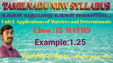 Class 12 Maths/Example:1.25/chapter 1: Applications of Matrices and Determinants