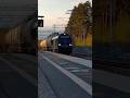 Northrail cargo Dr20 T 7335 SIJ-KVLA Suonenjoella