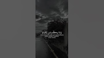 سورة النحل | القارئ : عبد الرحمن مسعد  #قرآن #قران_كريم