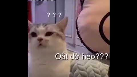 Tự nhiên bị đánh 😤😤