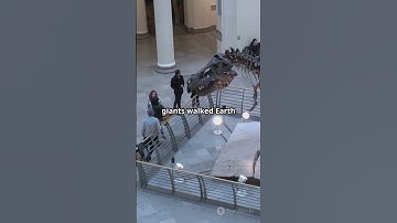 China’s Oldest Dino Discovery! #chinascientist #sciencefather #science #fact #technology #china