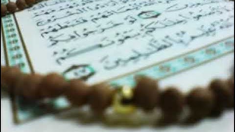 سورة الحشر  برواية البزي عن ابن كثير   محمد العبدالله