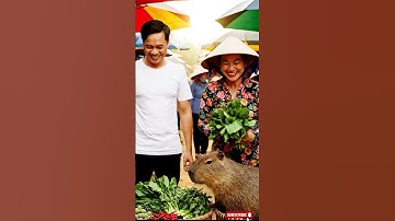 Capybara.Capy trồng rau.nuôi gà cho bà.#capybara #shorts #xuhướng #xuhuongyoutube #bigfootandcapy