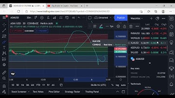 $asm    Big Braids in Crypto