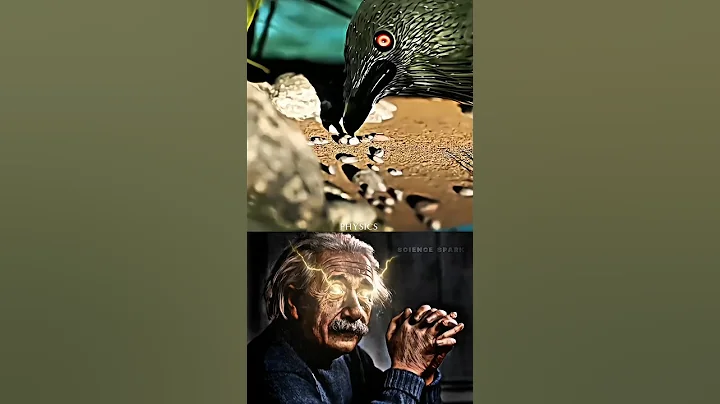 Sigma physics teacher 🗿 #shorts #sigmaphysics #physics