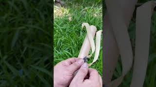 Handcraft a Bamboo Slingshot # Craft Idea # DIY # New design Trigger