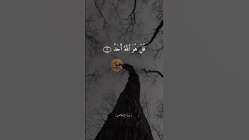 سورة الاخلاص || القارئ صلاح بو خاطر || حالات واتس اب || ستوريات |🥺❤️|