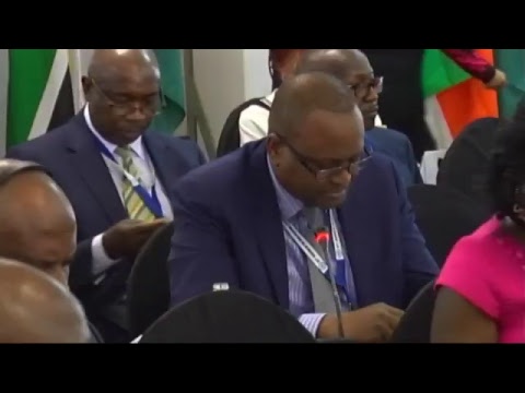67th Session of the WHO Regional Committee for Africa - YouTube