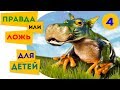 Правда или ложь для детей Тесты для детей |4| Познавательное видео для детей