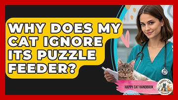 Why Does My Cat Ignore Its Puzzle Feeder? - Happy Cat Handbook