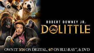 Dolittle | Trailer | Own it on Digital, Blu-ray \& DVD