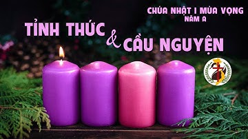Chúa Nhật, Thánh Lễ Tuần  I  Mùa Vọng Năm A . 30/11/2025.