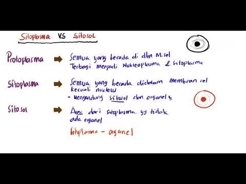 Video: Perbedaan Antara Sitoplasma Dan Nukleoplasma