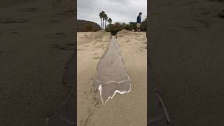 Small trench Connects River to Ocean! #shorts #asmr #oddlysatisfying #waves #weird #surfing