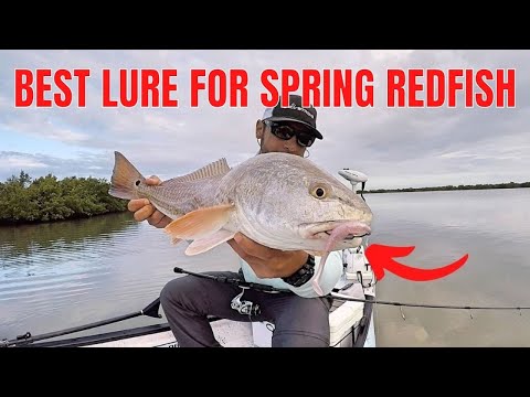 The Best Lure For Spring Redfish 