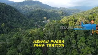 Hewan Purba Yang Tersisa | SI OTAN (26/09/24)