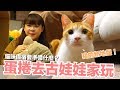 蛋捲去古娃娃家玩～貓咪借宿須知！【好味貓知識】EP10