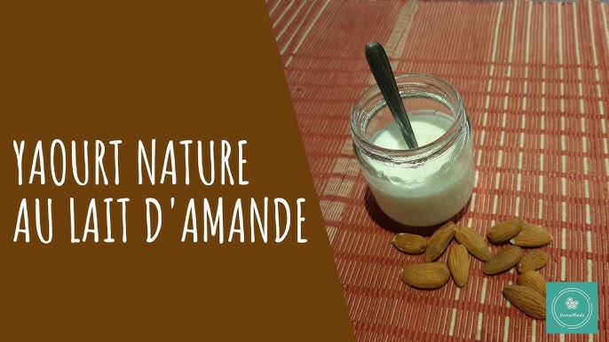 Yaourt au lait de coco vegan