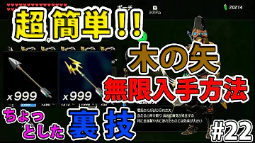 ゼルダの伝説木の矢無限入手