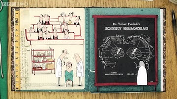 The Story of the Brain - Dara O Briain