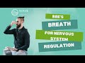 Bee’s Breathing for Nervous System Regulation | Calm Anxiety & Boost Vagal Tone Naturally