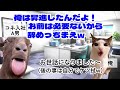 【スカッと猫ミーム】俺が会社の苦情処理を全て担っているとは知らずに年下上司が俺をクビにしたので笑いを堪えて退職してやった結果ｗ#猫マニ #猫ミーム