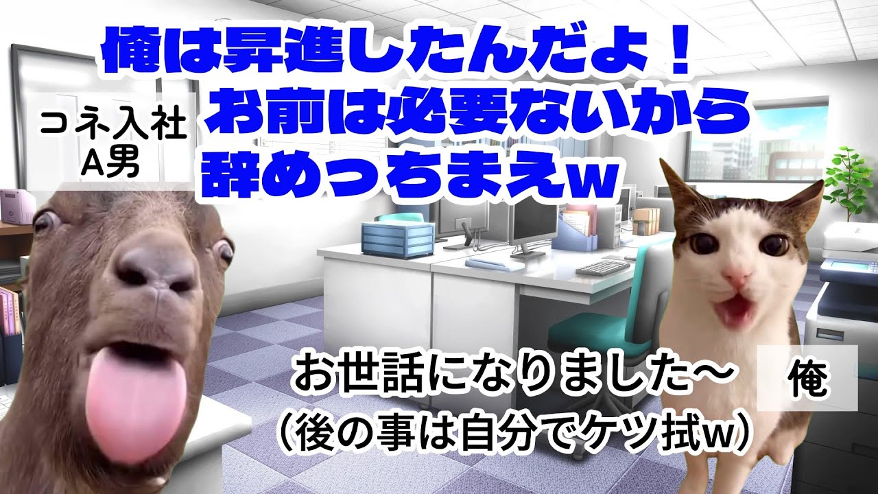 【スカッと猫ミーム】俺が会社の苦情処理を全て担っているとは知らずに年下上司が俺をクビにしたので笑いを堪えて退職してやった結果ｗ#猫マニ #猫ミーム