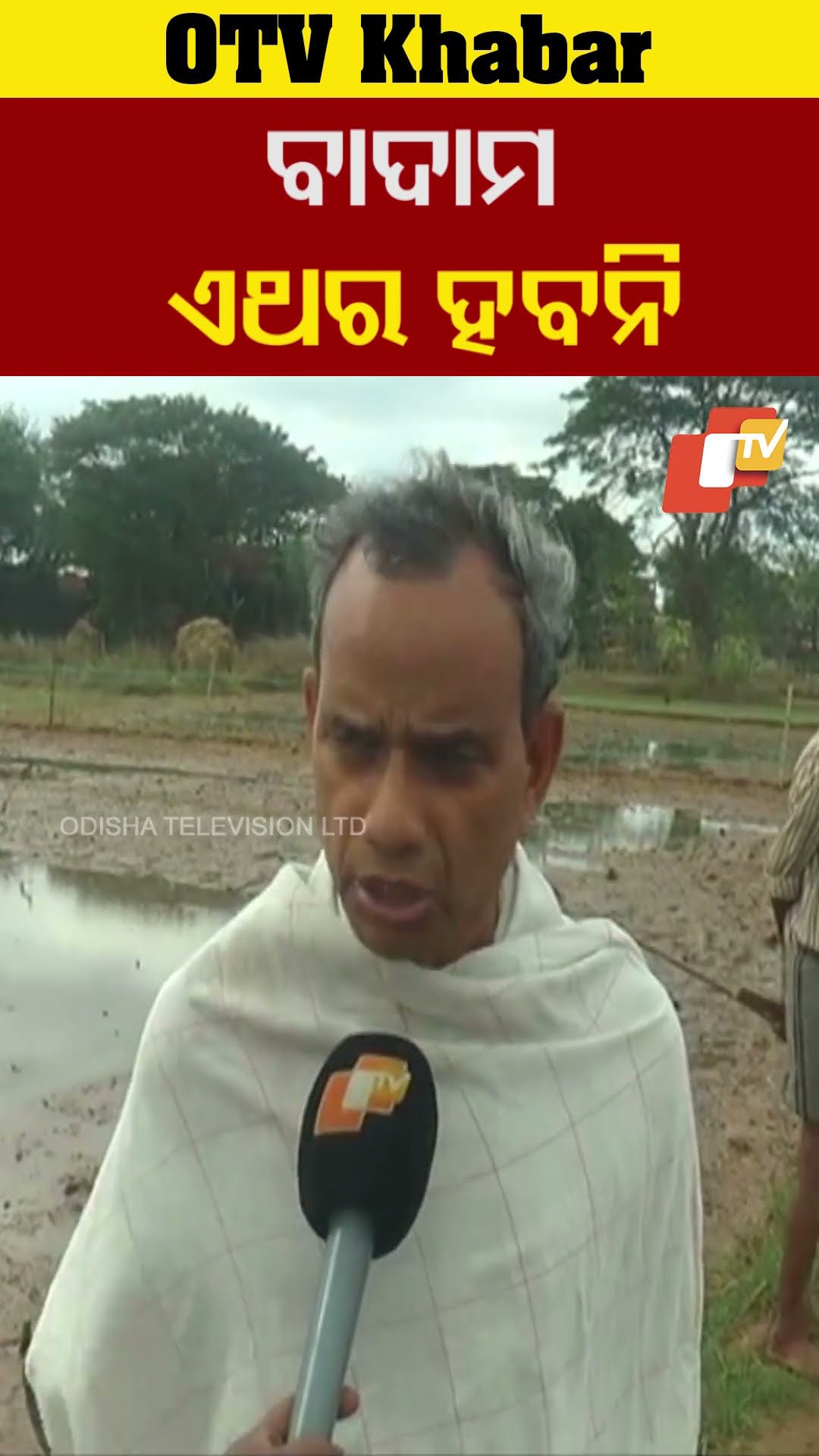 ଆଉ ଏଥର ବାଦାମ କଣ ହେବ ?