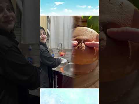 شكرا جزيلا على جلب السعادة لك   النظافه اكسبلور  
