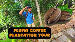 Pluma Coffee Plantation Tour with Jaime Martinez | Huatulco, Oxaca, Mexico