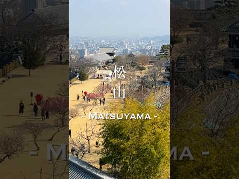 日本版的松山！坐上空中單人吊椅，從松山城把整座慢活城市收進眼底【愛媛縣】