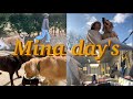 【Vlog】ゆるすぎるゴールデンレトリバーと暮らす平凡な日常|オーダーメイドリード作り|お散歩
