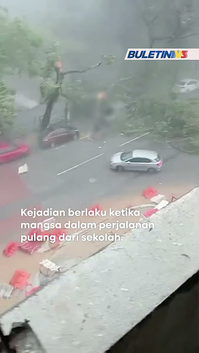 RIBUT | Pelajar cedera tulang belakang, patah kaki dihempap pokok