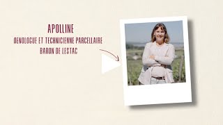 Interview Dapolline, Œnologue Et Responsable Des Partenariats Baron De Lestac