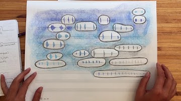 Beyond Absolute, artistic research project by Reiko Yamada