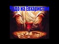 Чудо на Евхаристии #Православие #Христианство #Бог #Богородица #Евангелие #Молитва #Библия #Иисус