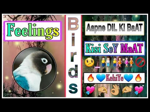 new-heart-touching-|-2-lines-sad-status-|-ringtone-music-|-sad-video-|-2020-by-zumar-creation