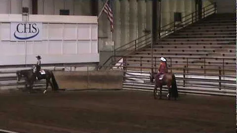 Goodness Shes Sweet Novice Western Pleasure