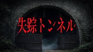延々と「心霊トンネルを歩き続けながら何かに追われるホラーゲーム。」【失踪トンネル】