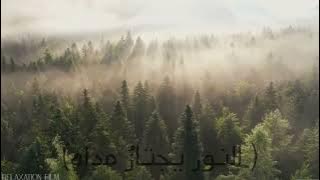 حاربوه يا عداه . موسى العمري