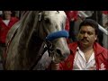 Dubai World Cup 1999 Almutawakel wins the Dubai World Cup Race