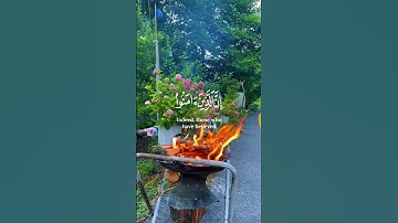 وكلهم ءاتيه يوم القيامة فردا | قران كريم | عبدالرحمن مسعد | حالات واتس | راحة نفسية #عبدالرحمن_مسعد