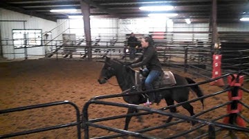 WilluAcceptThisRose - Juan Pablo - sorting practice 2 - Valley View Ranch